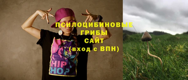 тгк Армянск