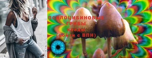тгк Армянск