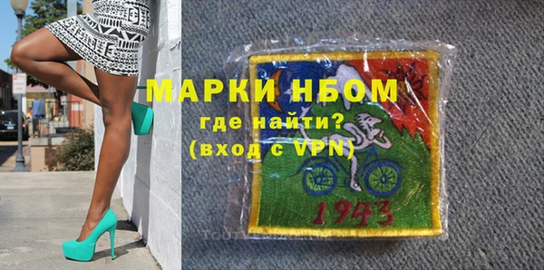 хмурый Арсеньев